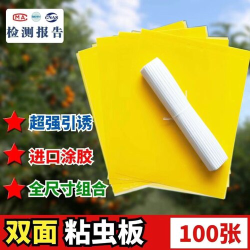 强力粘虫双面黄板纸新疆进口果园灭小飞虫套装德国质量大棚专用