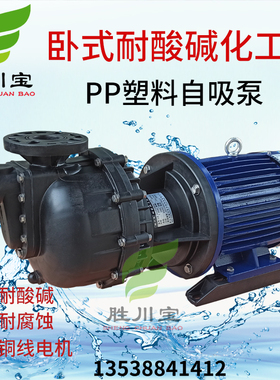 7.5KW卧式耐酸碱防腐大头泵马肚泵污水处理自吸泵CM-50102NBH-CCH