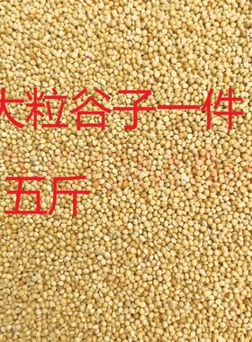 鸟食 大粒黄谷子带壳小黄米 玉鸟 鹦鹉 文鸟鸟粮鸟饲料500克金青