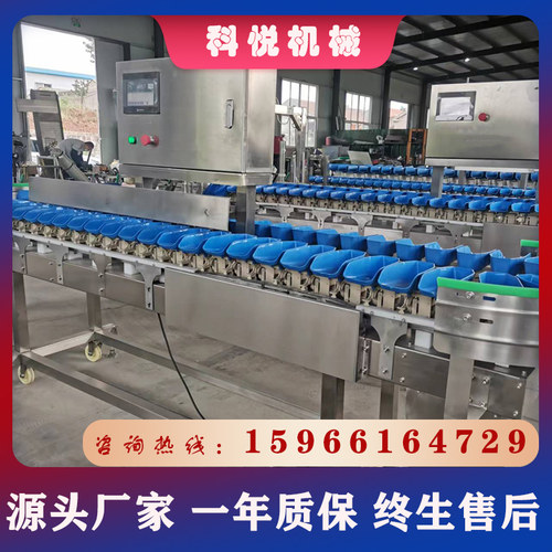 鲍鱼海参大小分拣机 金鲳鱼牡蛎重量分选机 转盘式自动称重分级机