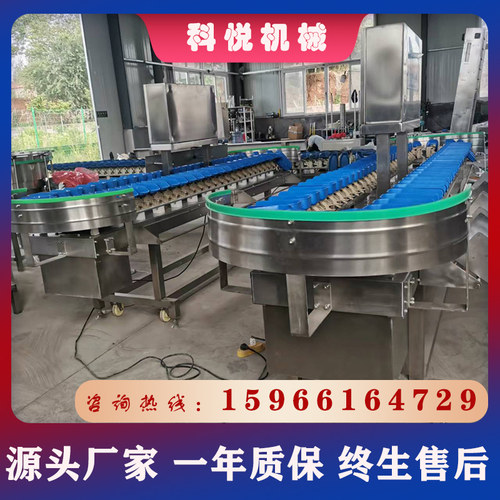 全自动称重重量分选机 鸡爪龙虾重量分选机 海参生蚝重量分拣机