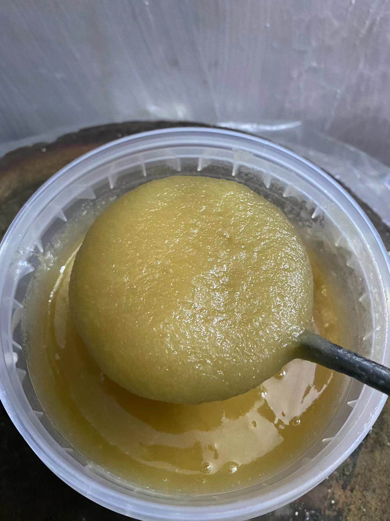 冬天野桂花蜜500g 结晶冬蜜  野生花蜜 中华蜂粤西深山放养