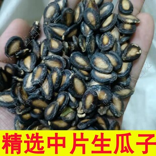 2025新货生西瓜子中片黑瓜子大片打板瓜子新疆特产未加工散装生货