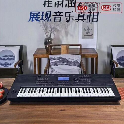 专业演奏教学电子琴美得理考级琴