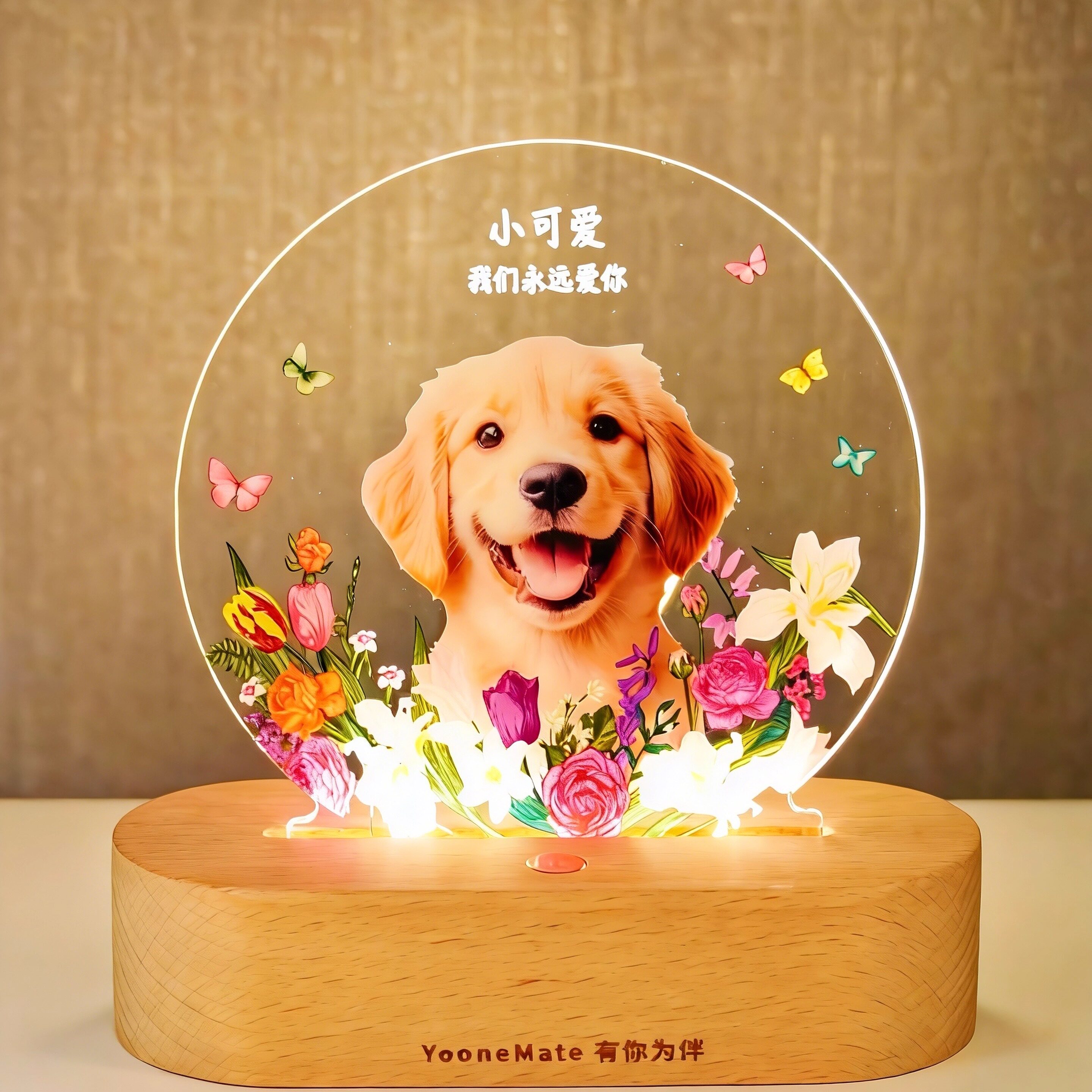 宠物离世纪念定制狗狗猫咪相框毛发照片摆台去世留念摆件长明灯