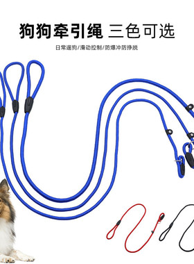 中小型宠物用品狗狗牵引带P绳宠物狗绳P链宠物用品 优质尼龙实用