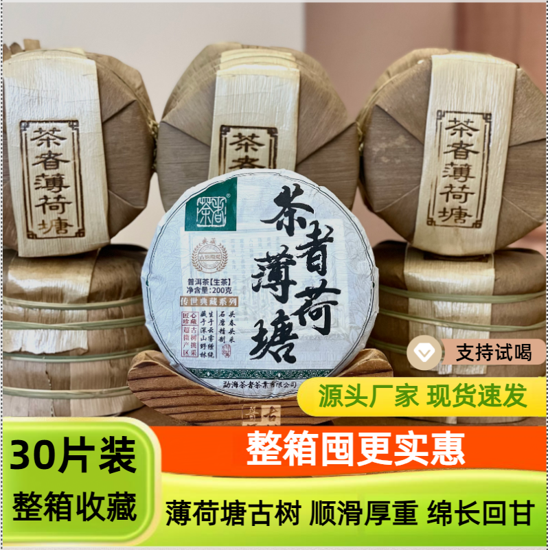 易武薄荷塘古树普洱生茶200克