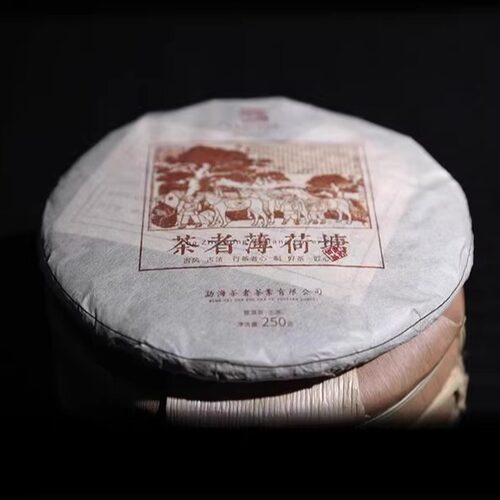 2019年薄荷塘250克 春茶 普洱茶 生茶