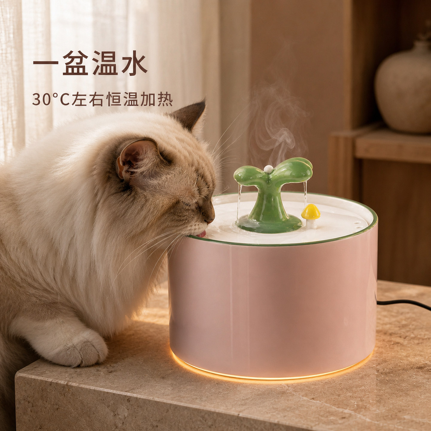 猫咪狗子陶瓷恒温加热过滤饮水机