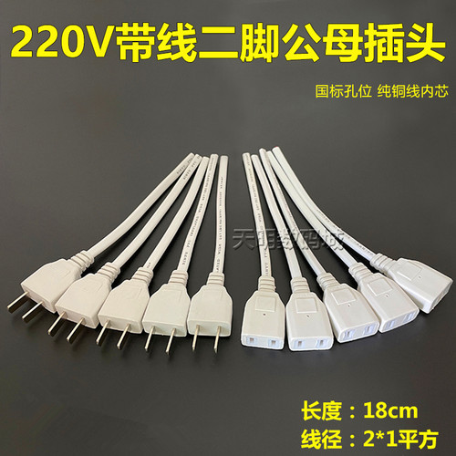 220V监控带线二脚母插座两孔插头