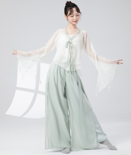 新款古典舞蹈演出服女身韵纱衣中国舞基服舞蹈老师练功服套装
