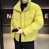 2025冬男微宽松立领标90泡芙穿刺羽绒服A230-2577-P299(控399)，男装羽绒服，电商A230
