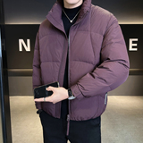 2025年冬男款修身立领标90白鸭绒羽绒服A230-1142-P248(控349)，男装羽绒服，电商A230