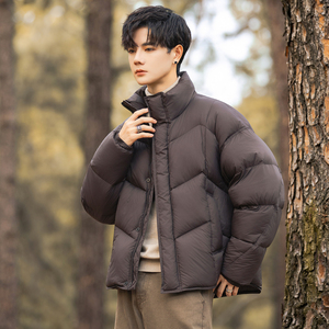 2025冬男微宽松立领标90泡芙穿刺羽绒服A230-2577-P299(控399)，男装羽绒服，电商A230