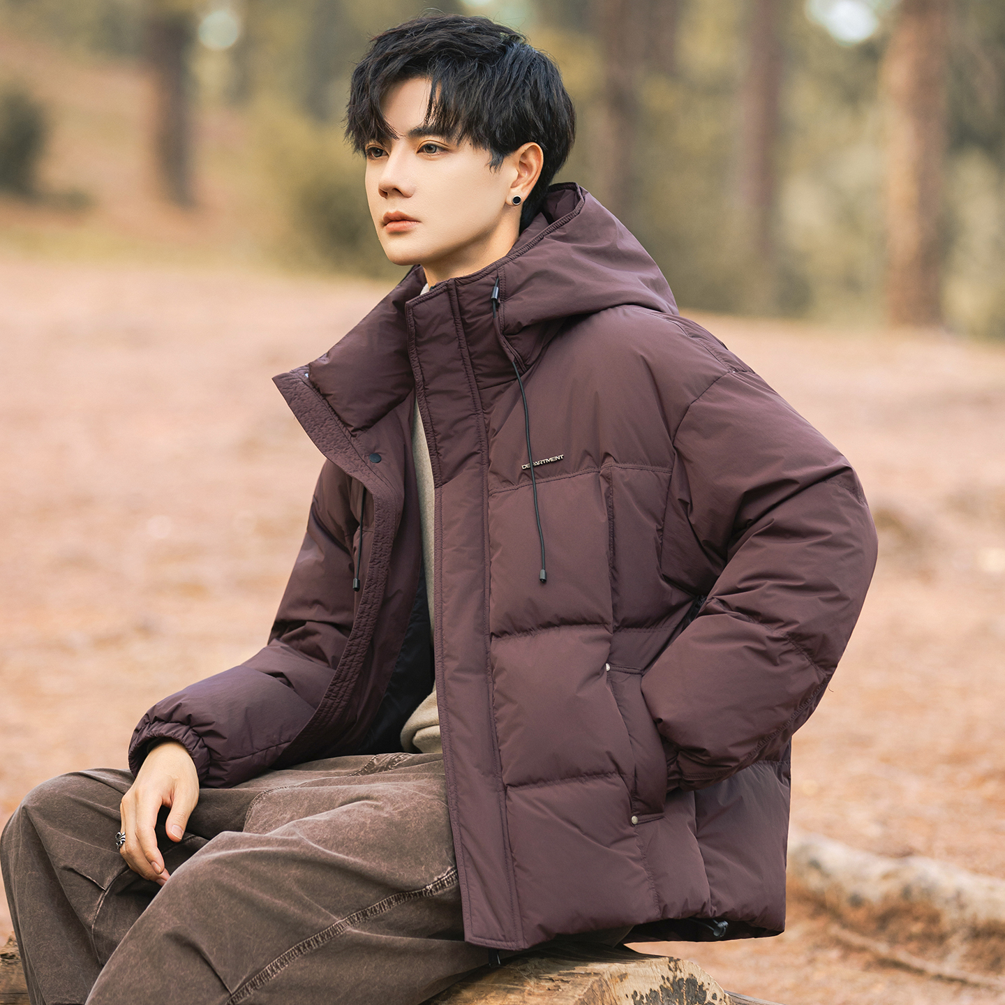 2025冬男微宽松连帽新标50白鸭绒羽绒服A230-25806-P228(控328)，男装羽绒服，电商A230