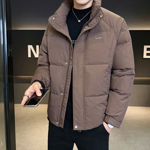 2025冬男修身立领小标标50%白鸭绒羽绒服A230-7900-P195(控299)图片