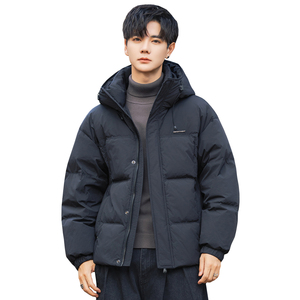 2025冬男微宽松连帽新标50白鸭绒羽绒服A230-25806-P228(控328)图片