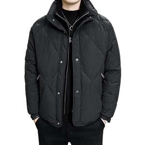 2025冬男微宽松假两件立领标90羽绒服A230-991-P348(控488)图片