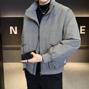 2025年冬男微宽松立领标90工装式羽绒服A230-95710-P220(控320)图片