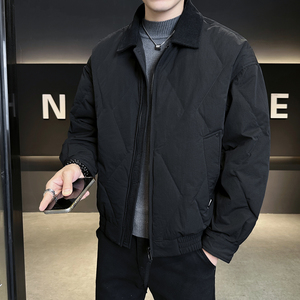 2025冬男微宽松磨砂面料标90方领羽绒服A230-1001-P238(控338)图片