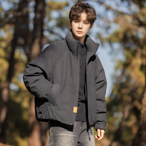 2026冬季男年货款立领新标90棉布羽绒服A230-8020-P249(控349)，男装羽绒服，电商A230