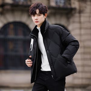 2025冬男微宽松假两件立领标90羽绒服A230-991-P348(控488)，男装羽绒服，电商A230