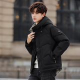 2025年冬男修身连帽标80%白鸭绒羽绒服A230-23228-P230(控330)，男装羽绒服，电商A230