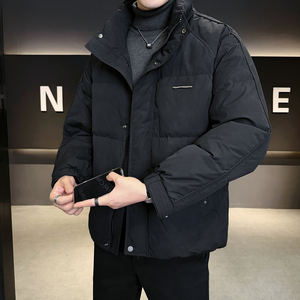 2025年冬男微宽松立领脏脏灰标50羽绒服A230-3307-P218(控318）图片