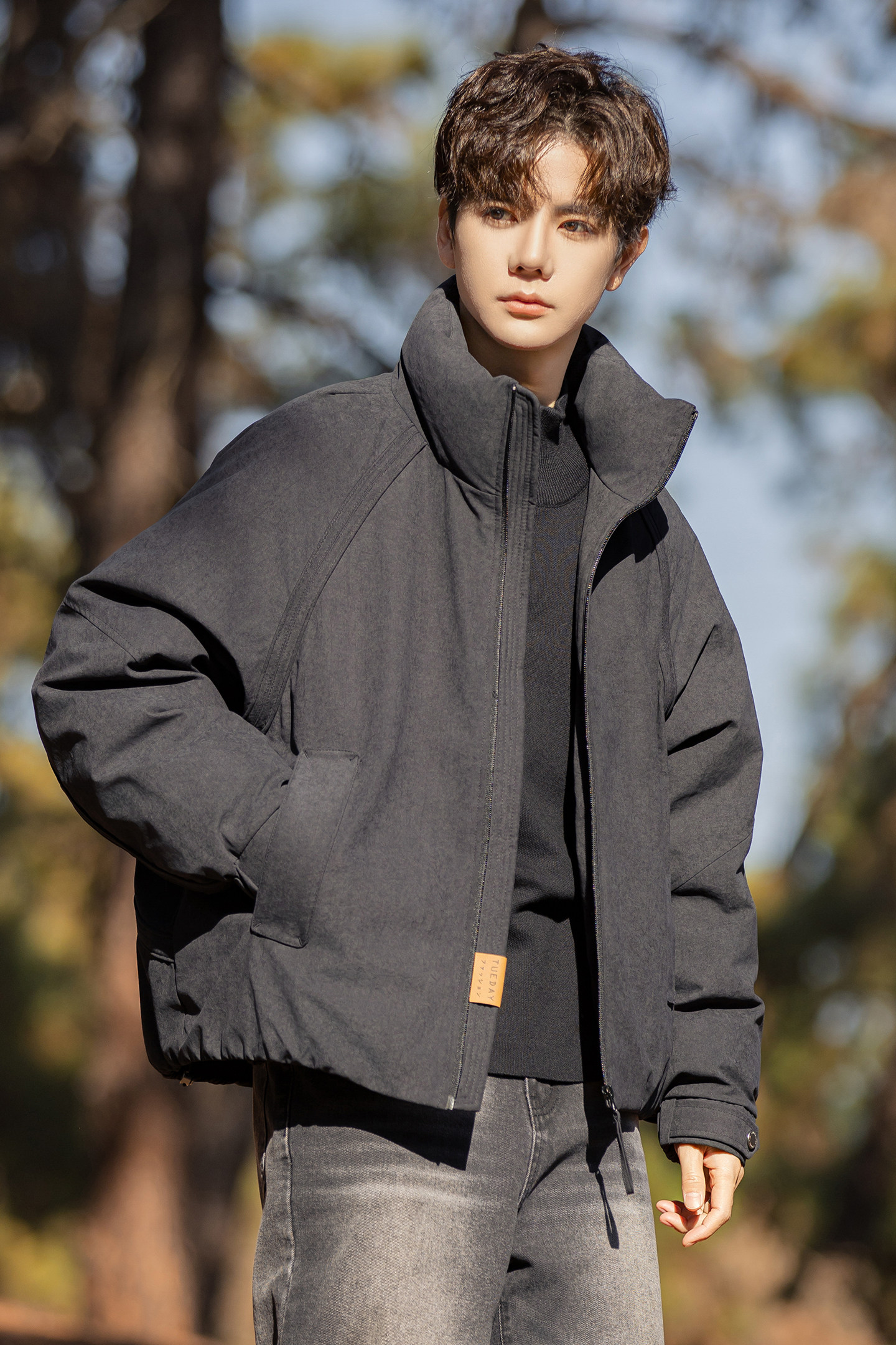 2026冬季男年货款立领新标90棉布羽绒服A230-8020-P249(控349),男装羽绒服,电商A230