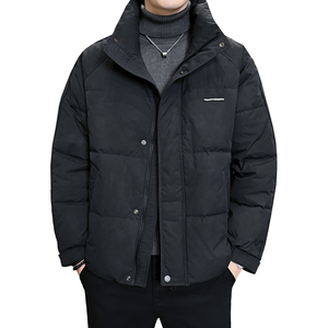2025年冬男微宽松立领脏脏灰标50羽绒服A230-3307-P218(控318）图片