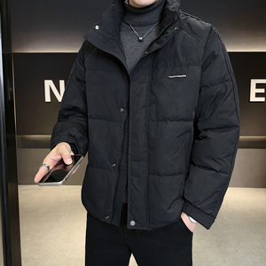 2025年冬男微宽松立领脏脏灰标50羽绒服A230-3307-P218(控318）图片