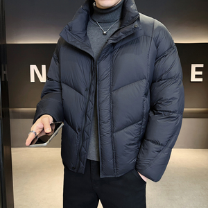 2025冬男微宽松立领标90泡芙穿刺羽绒服A230-2577-P299(控399),女明星羽绒服搭配裙子街拍图片图片