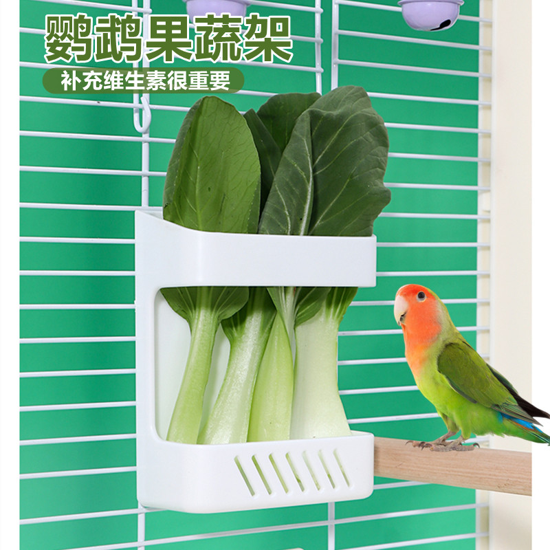 鸟用塑料蔬菜架 水果架芦丁鸡喂食器 雏鸡用品饲养用品