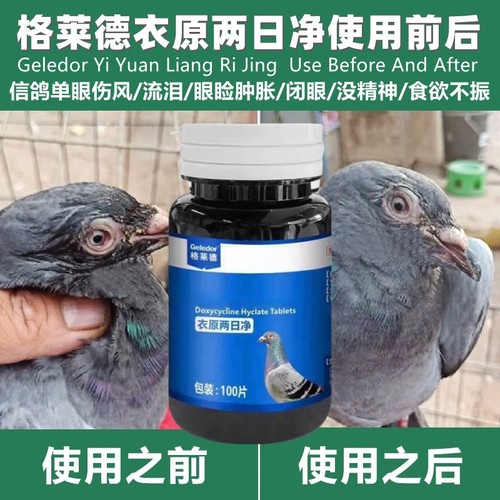 单眼伤风格莱德衣原两日净