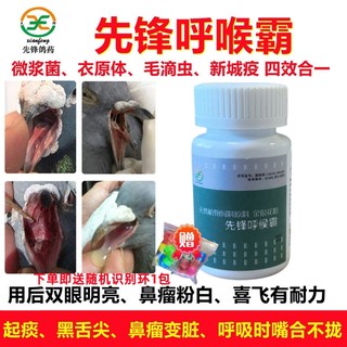 西安先锋呼喉霸60粒 霉浆菌衣原体毛滴虫新城疫引起呼吸不畅鸽药