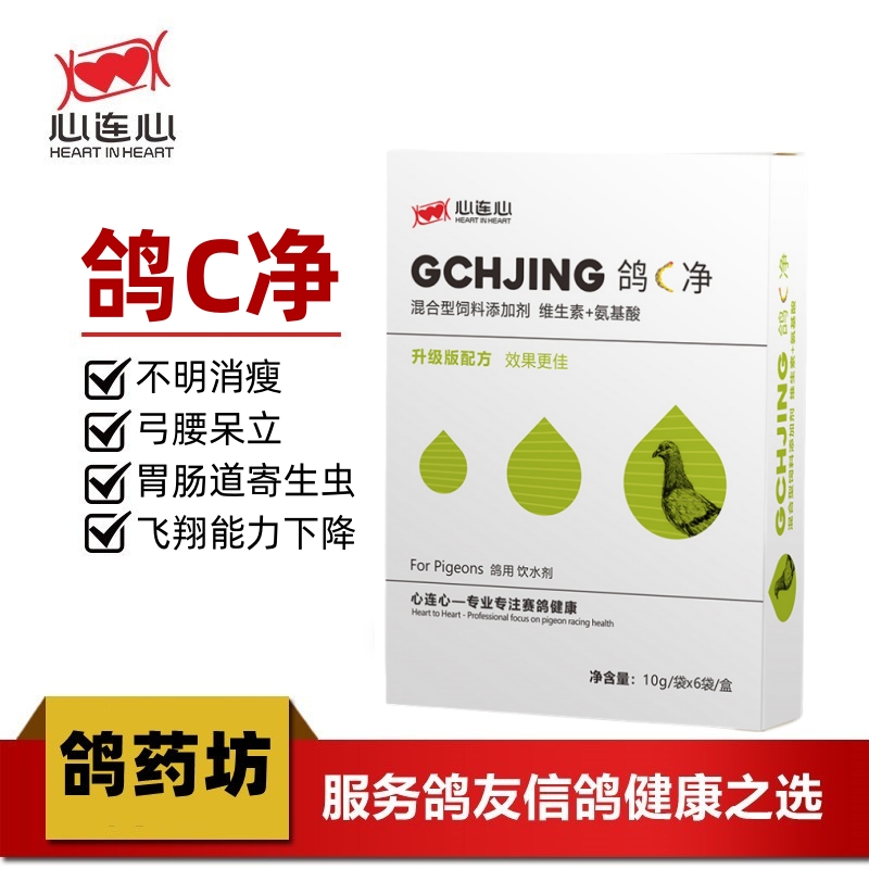 心连心鸽C净打虫体内药鹦鹉