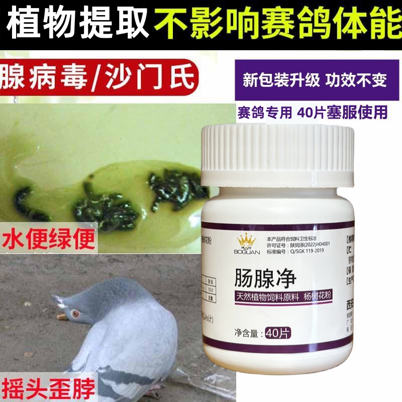 肠腺净博冠鸽药搏冠鸽子药腺病毒水便绿便40片搏冠鸽药肠炎腺病毒