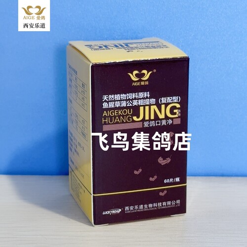 乐道爱鸽口黄净赛鸽幼鸽