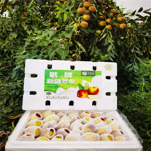新疆戟牌牛奶冬枣脆甜