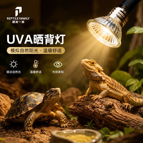 爬虫加热灯乌龟晒背灯龟缸全光谱UVA+UVB3.0太阳灯补钙灯包邮迷你 - 封面