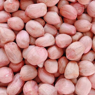 2025年新花生生花生米粉皮白沙河南原味农家新鲜晒干蔬菜农产品
