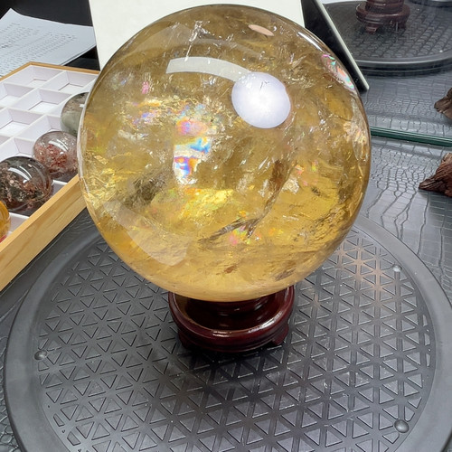 老姜黄14.8cm4600g