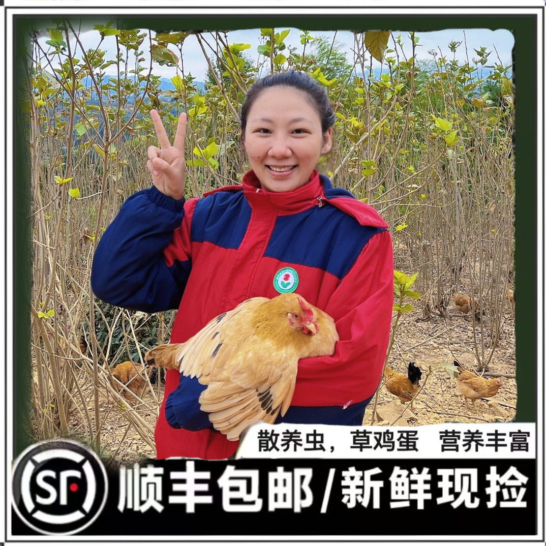 正宗高山散养竹林蛋农家土鸡蛋柴鸡蛋笨鸡蛋（多送十枚）纯粉白壳