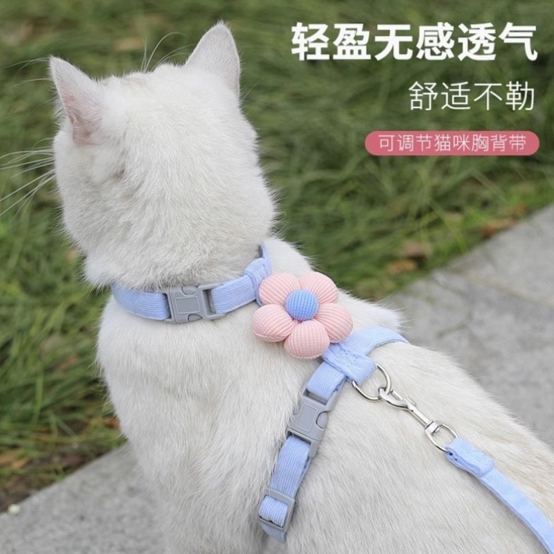 工字型小猫咪牵引绳防挣脱不勒脖外出专用幼猫遛猫神器项圈猫背带,宠物/宠物食品及用品,猫牵引绳,淘宝优惠券,粉丝福利购,淘宝优惠卷
