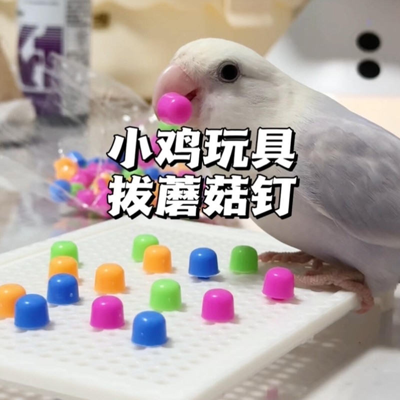 鹦鹉玩具蘑菇钉新型解闷自嗨啃咬磨牙小鸟解压益智训练小太阳玄凤