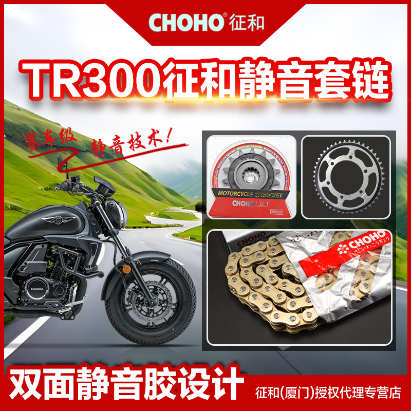 适用豪爵TR DR XCR300静音链盘齿轮链轮征和原厂正品油封链条套链