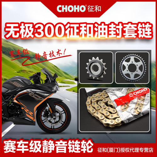 适用隆鑫无极LX300RR 300DS 300AC 静音链盘齿轮征和正品油封链条