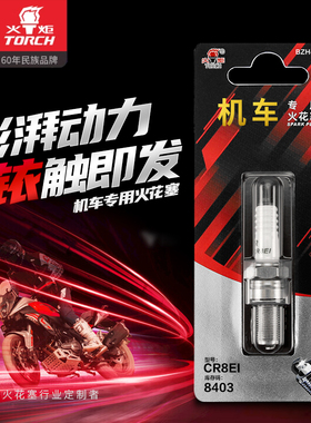 TORCH/火炬正品摩托车机车火花塞A7RTI B7RTI D8RTI CR8EI D8RTIP