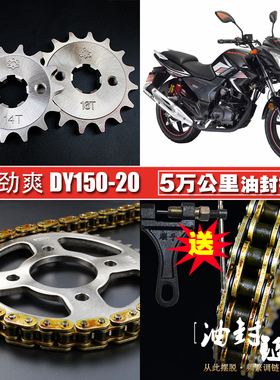 大运劲爽劲动油封链条链盘套装DY150-20-22A-29大小飞齿链轮牙盘