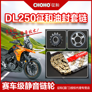 适用豪爵铃木摩托车DL250 油封链条配件 静音链盘齿轮链轮征和正品